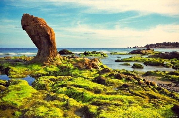 Bãi biển Cổ Thạch tọa lạc tại một nơi vắng vẻ thuộc địa phận xã Bình Thạnh, huyện Tuy Phong, tỉnh Bình Thuận, cách thành phố Phan Thiết khoảng 90km, mặc dù đã được đưa vào khai thác nhưng biển nơi đây vẫn giữ nguyên nét hoang sơ