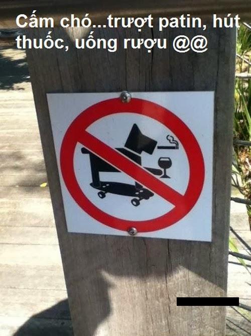 Cấm chó hút thuốc, uống rượu bia&amp;