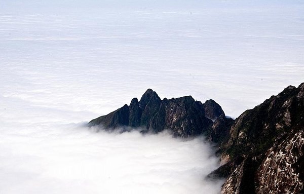 Núi bồng bềnh trong biển sương tạo nên cảnh quan kỳ ảo vô cùng