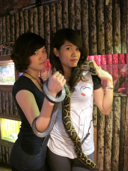 Giới trẻ rất hào hứng đùa cùng trăn và rắn ở Pet café