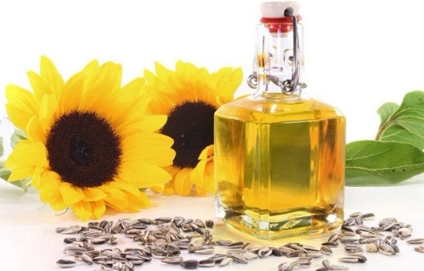 4. Dầu hướng dương: Do vitamin nội dung của dầu E, dầu hướng dương có khả năng hoạt động như một loại kem dưỡng ẩm tự nhiên. Nó cũng có lợi ích khác và và là một lá chắn để phòng ngừa bệnh ung thư da.