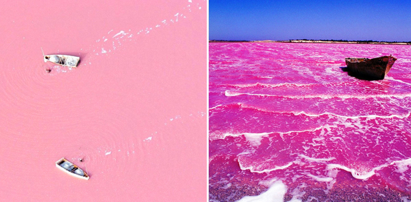 Hồ Retba có màu hồng nhờ một loài vi khuẩn thân thiện với con người phát triển ở các vùng nước mặn.