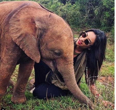 Nữ diễn viên Shay Mitchell thì đi tận hưởng mùa hè cùng những chú voi đáng yêu