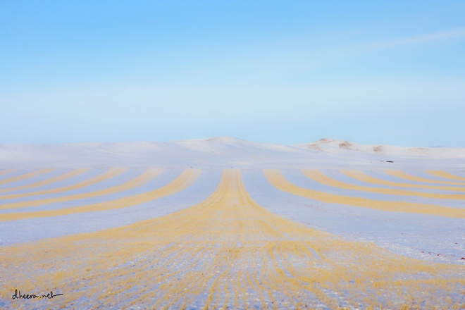 Mùa đông trắng trên thảo nguyên Mông Cổ