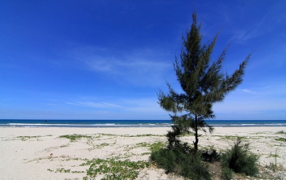 5 bãi biển tuyệt đẹp ít người biết ở Quảng Ngãi