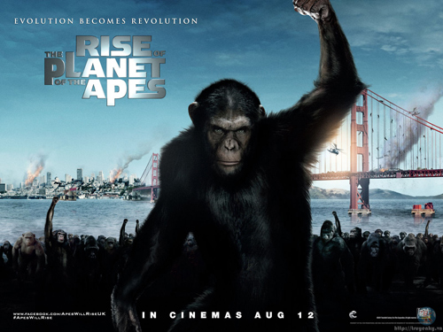 Phim về khỉ bội thu tại Mỹ