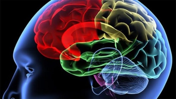 Các cách giúp kiểm soát trí nhớ của bạn một cách hiệu quả